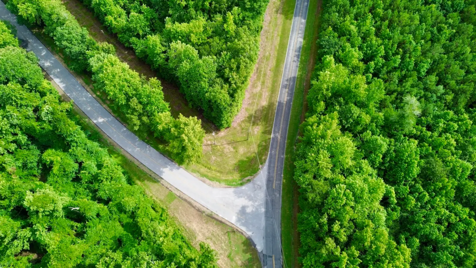 Aerial view of two roads meeting at a fork between green forest